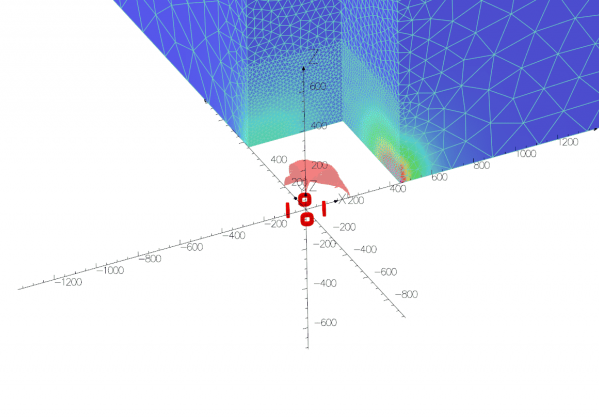 Stray Magnetic Fields and Safety